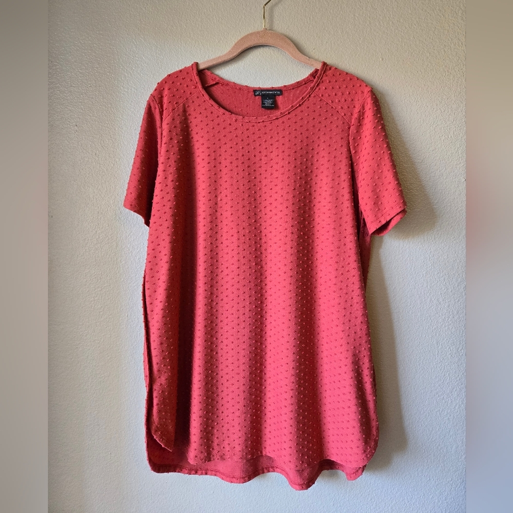 Adrianna Papell Women’s Swiss Top Size Large Red Sand Short Sleeve Tee Swiss Dot